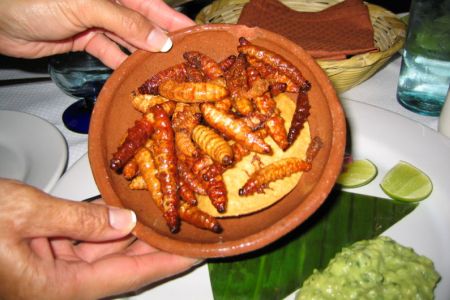 Interesting Japanese Delicacies